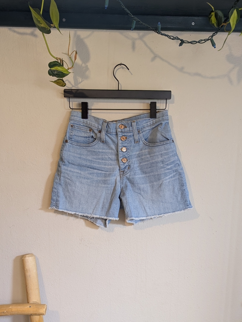J Crew Shorts With Button Fly